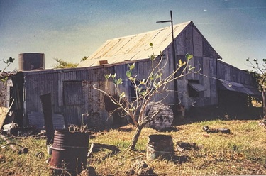 Old-photo-of-their-home.jpg