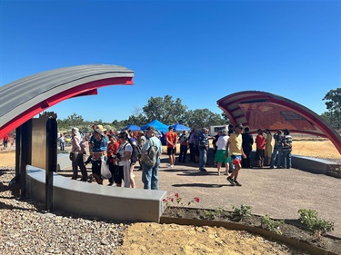 Croydon-Chinese-Temple-Site-3