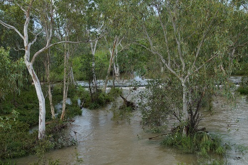 The Rivers flow