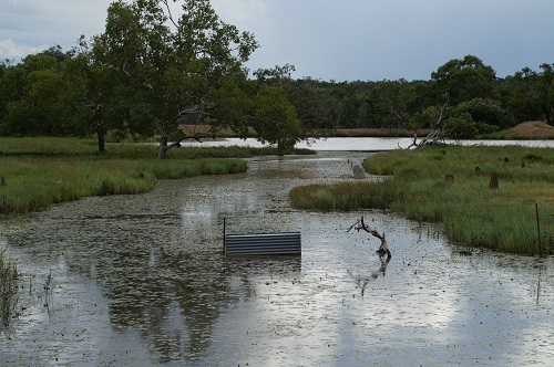 Water Holes fill up