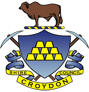 Footer Council Logo